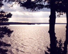 Lake-Glow Silver!