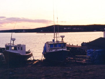 Halifax Nov'99 So I headed up to Halifax over Thanksgiving of 1999. I'd been working fifteen hours a day for the past three months...