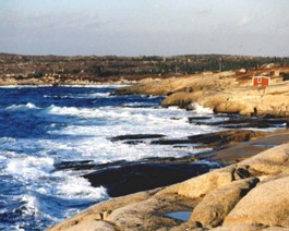 PeggysCove-BlueWater Peggy's Cove