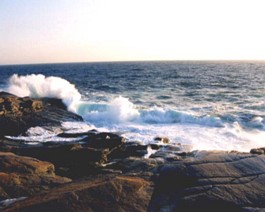 PeggysCove-Surf-1 Surf