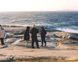 PeggysCove-Swells -20C