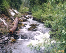 Baker-Hike-Stream-1