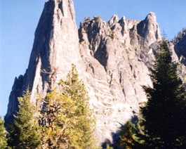 Towers Towering heights