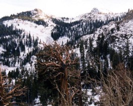 Winter-landscape Winter landscape