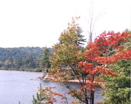 Sep-Algonquin-Lake-1