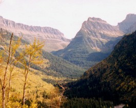 Montana-Glacier-1