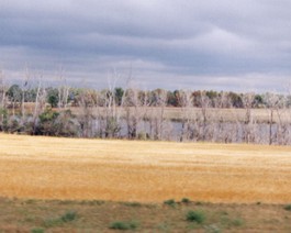 ND-Farmland-3