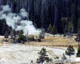 Yellowstone-1