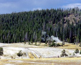 Yellowstone-2