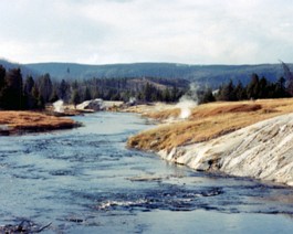 Yellowstone-8-Stream