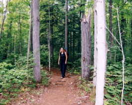 Sep-Algonquin-Claire-Forest