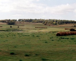 ND-Farmland-2