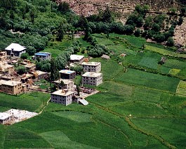 Darcha-FieldsOfGreen