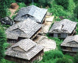 CowPasture-Roofs