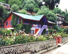 Manali-Purple_stair_House