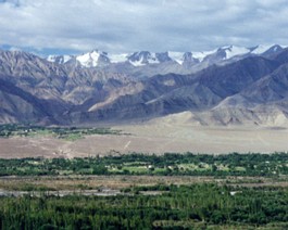 Leh-Valley-2