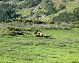 07-31-2004-Colorado-0075