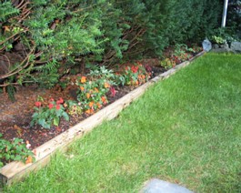 Garden_IMG_0732_lg