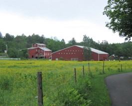 Barn_IMG_0588_lg