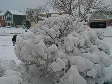 Winter 07-08